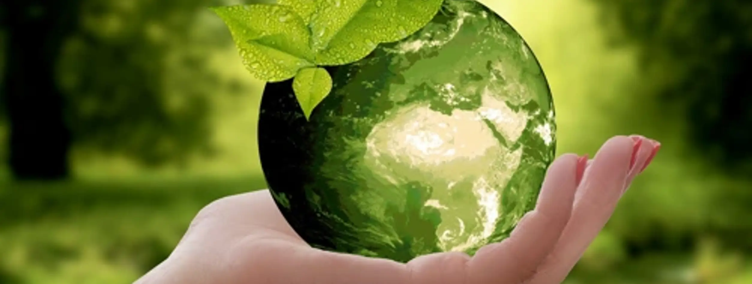 Duurzame Wereld